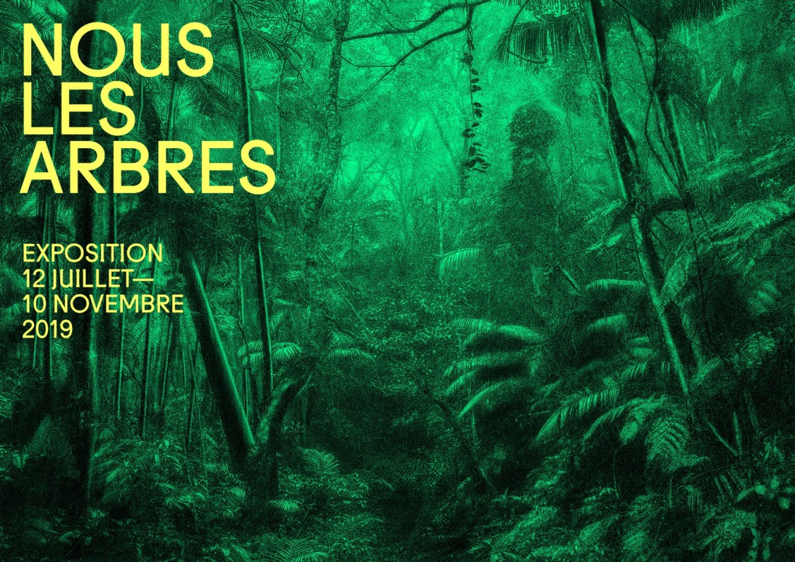 Nous les arbres – Fondation Cartier, Parigi