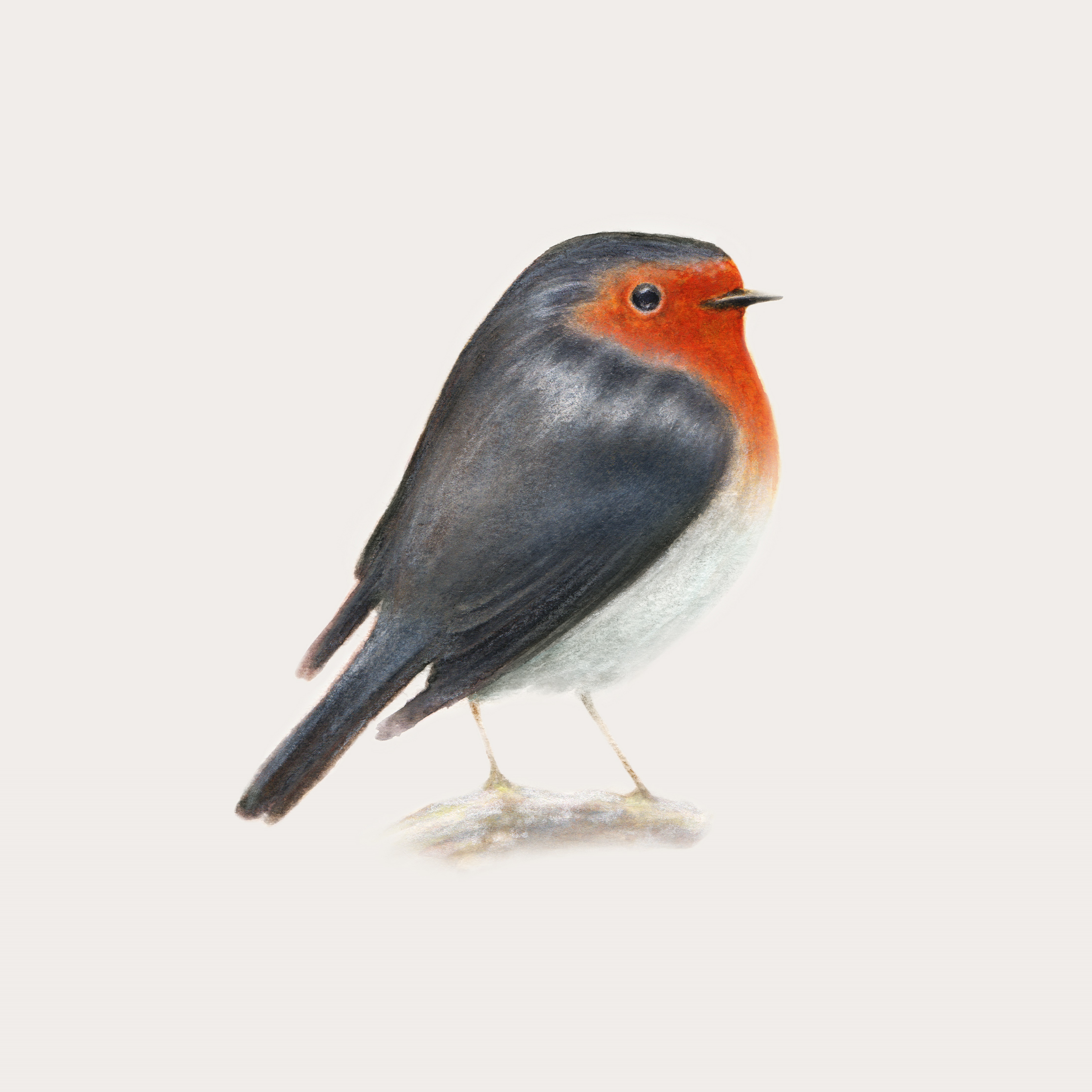 Brunori Sas – Cip! (Island, 2020)