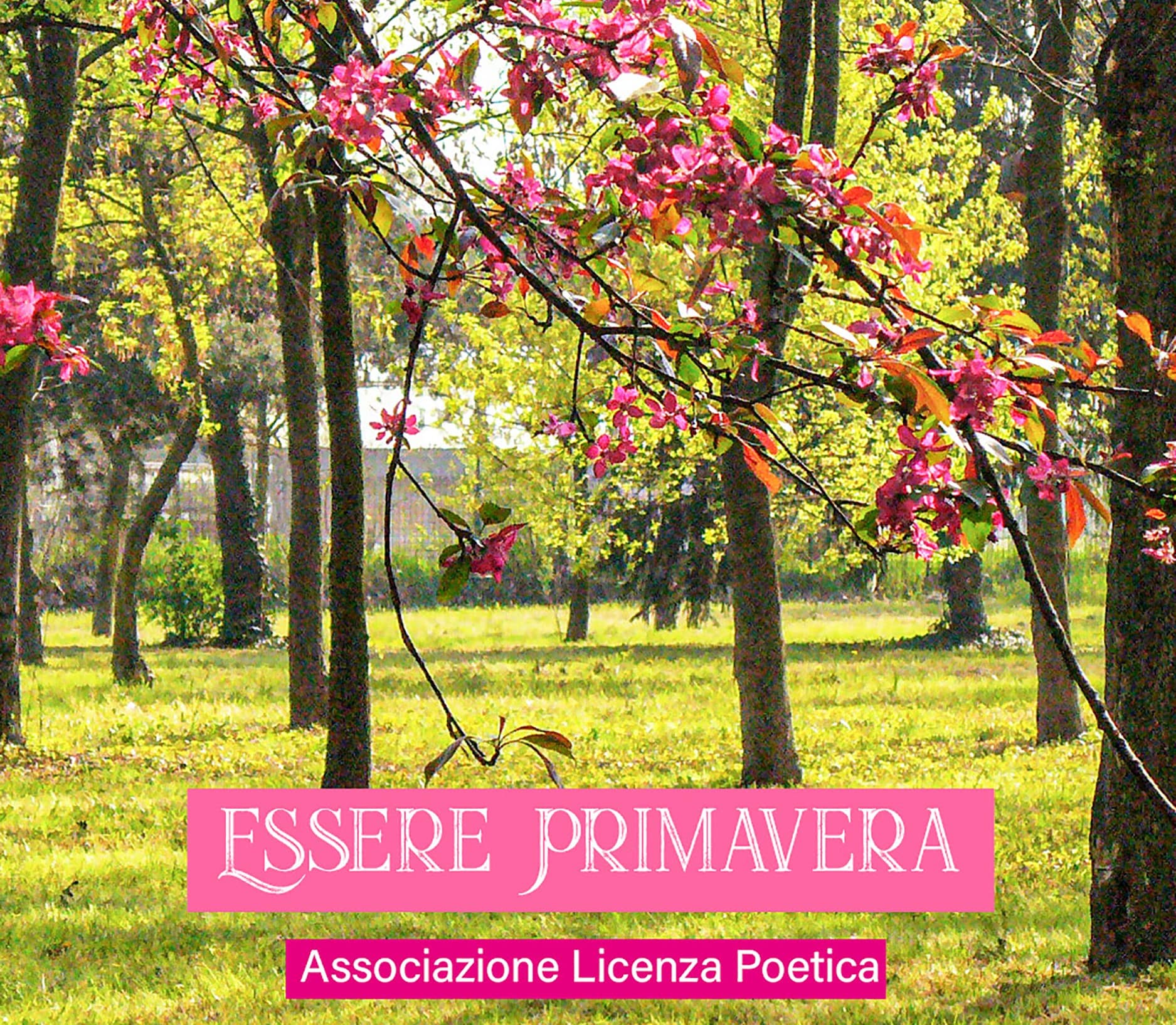 Essere primavera – Autori vari (Associazione Licenza Poetica, ebook 2020)