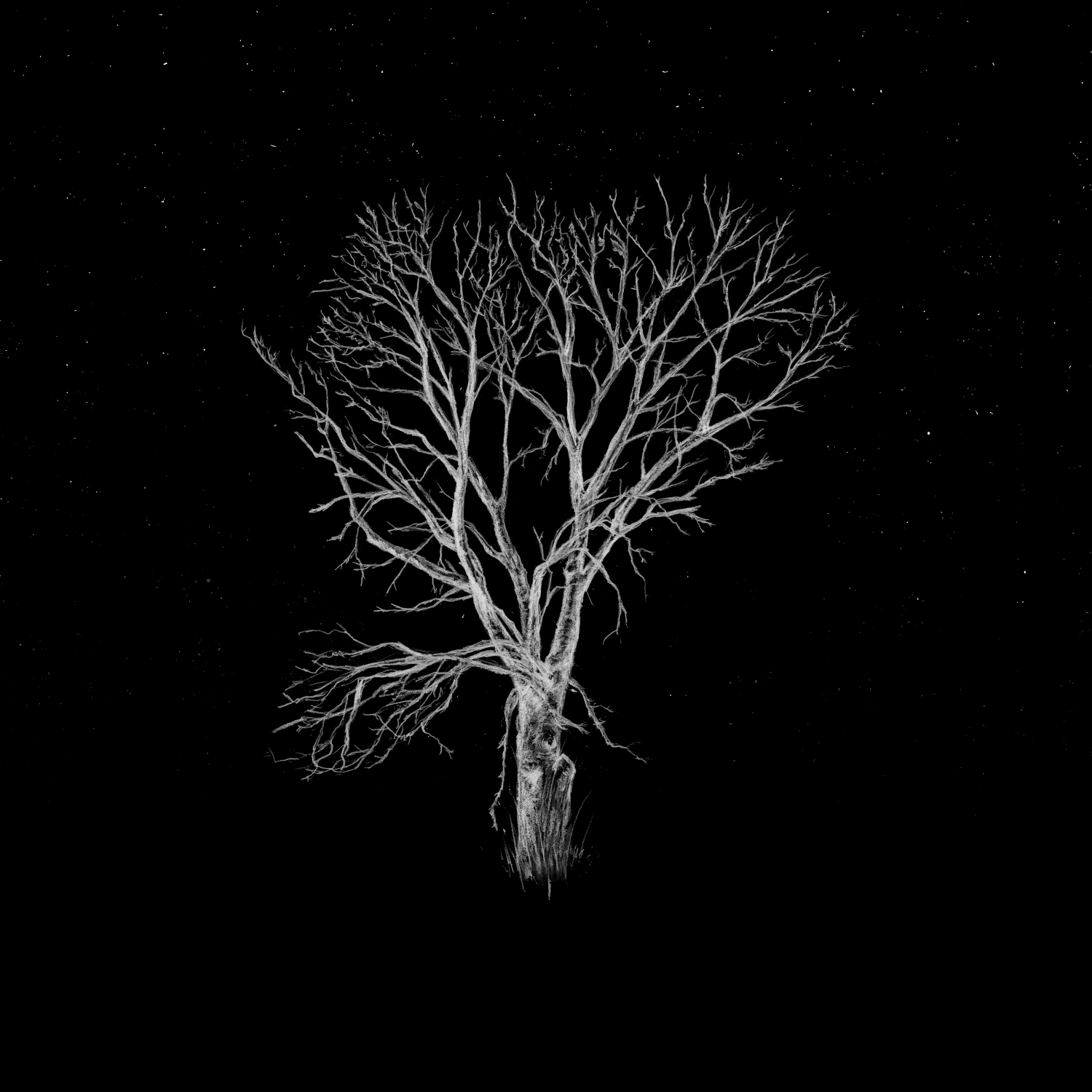 Fink – Bloom Innocent Acoustic (R’Coup’D, 2020)
