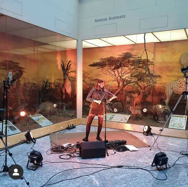 Anais Drago – SoloProject @ Museo di Storia Naturale Faraggiana Ferrandi, Novara – Streaming YouTube
