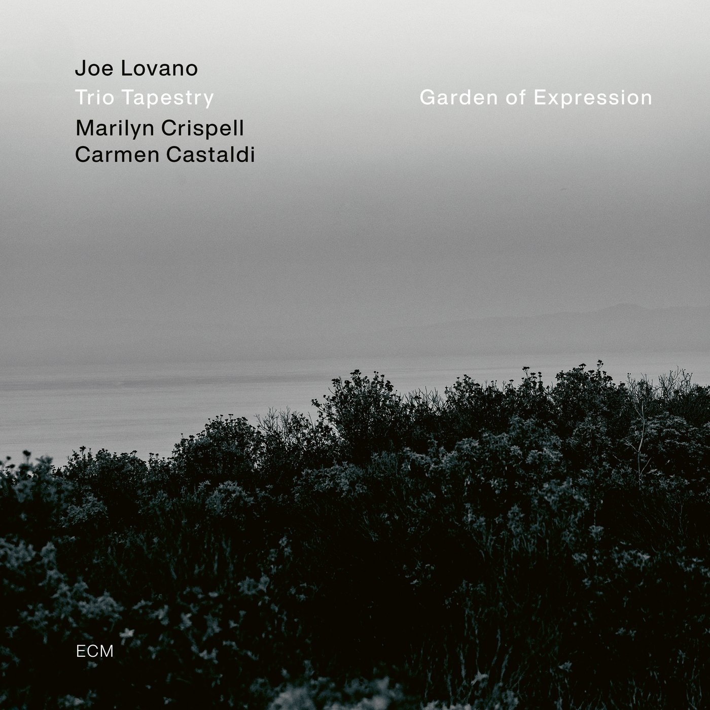 Joe Lovano Trio Tapestry – Garden of Expression (ECM Records, 2021)
