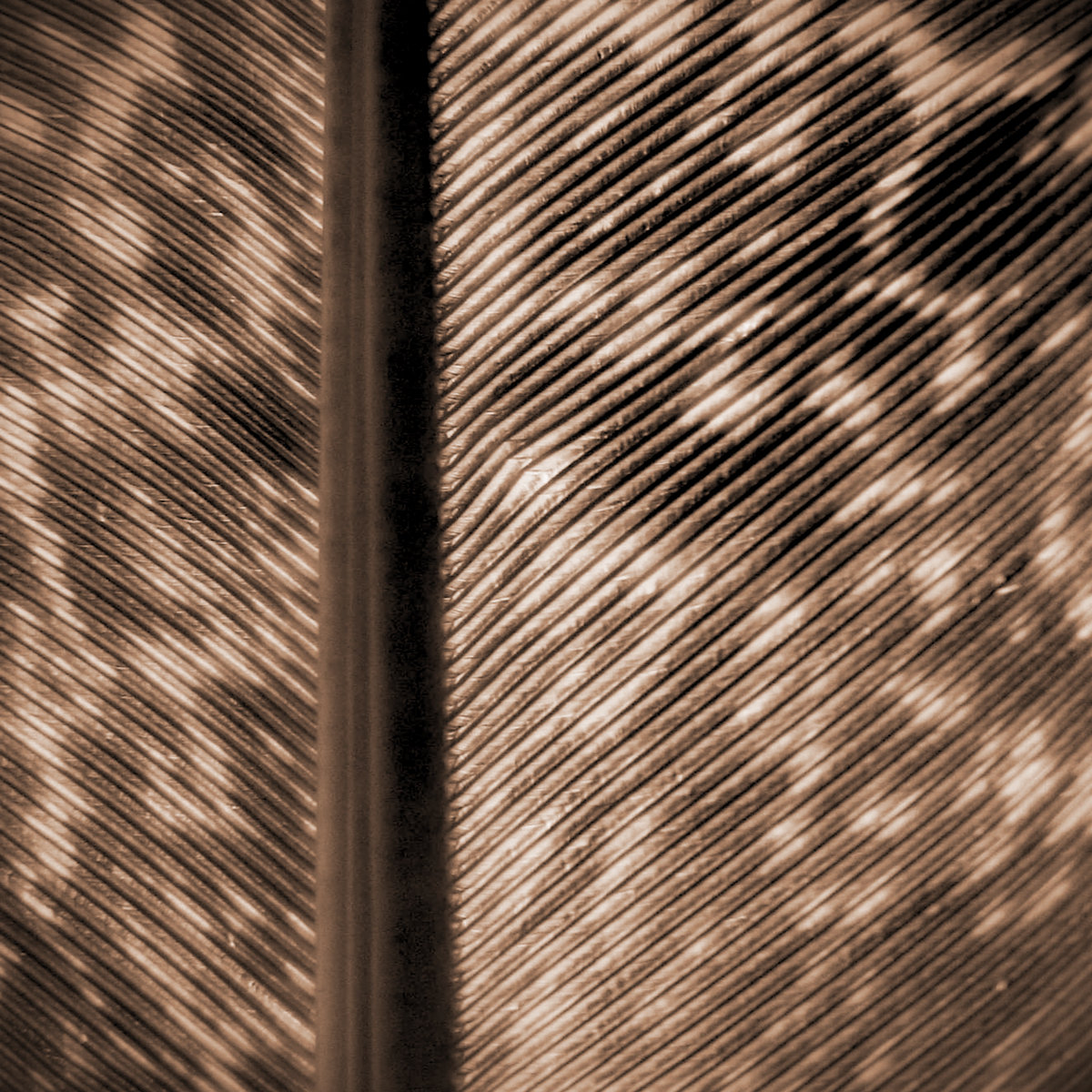 Fabio Mina – The Meaning Of The Wings (Bandcamp, 2021)