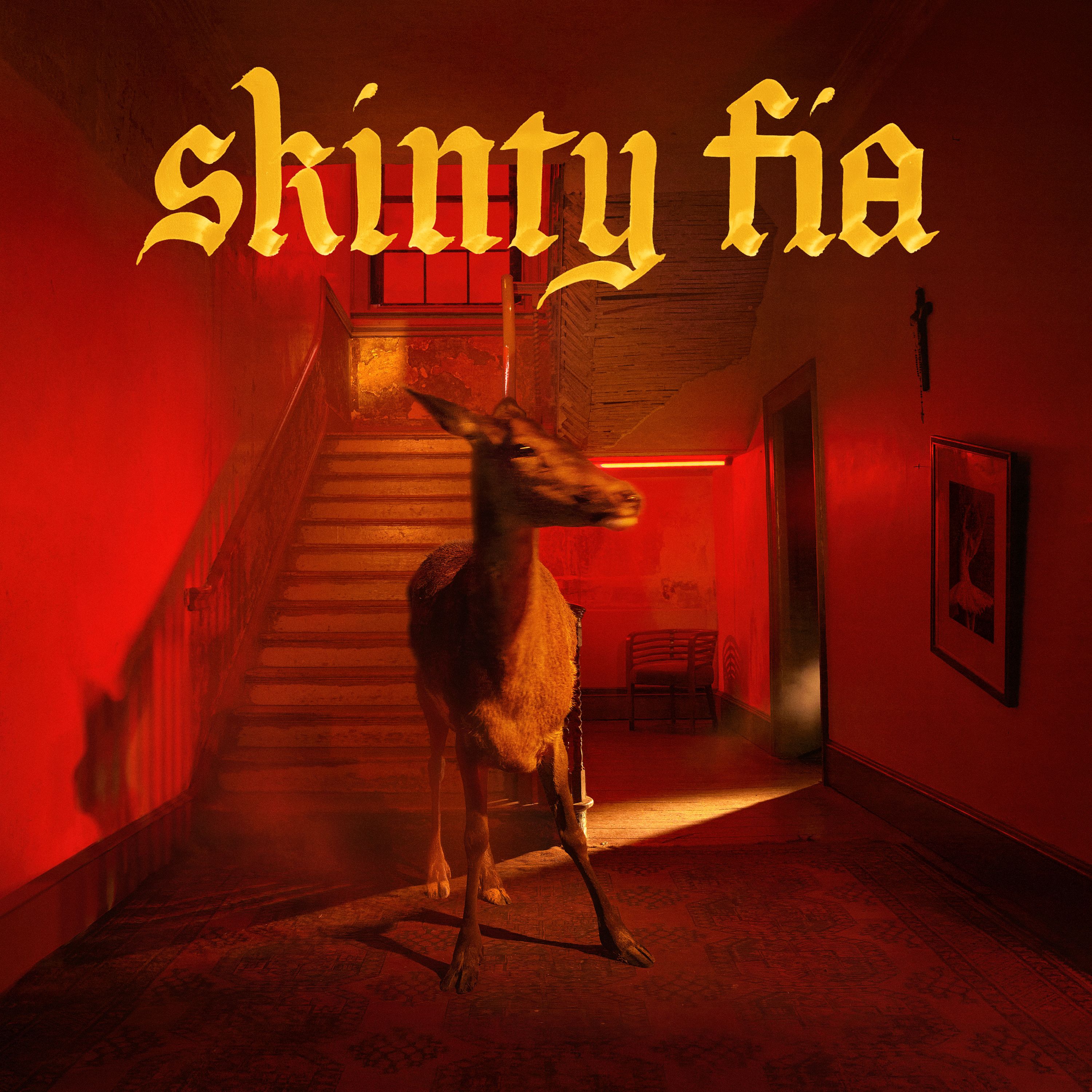Fontaines D. C. – Skinty Fia (Partisan Records, 2022)