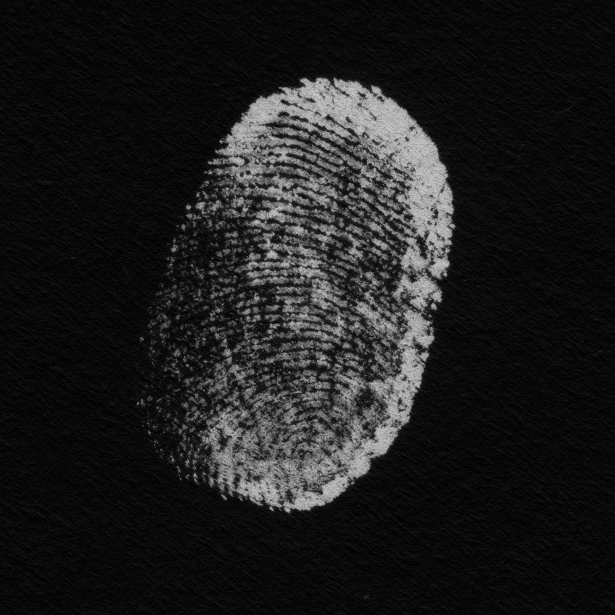 Patricia Brennan – More Touch (Pyroclastic Records, 2022)