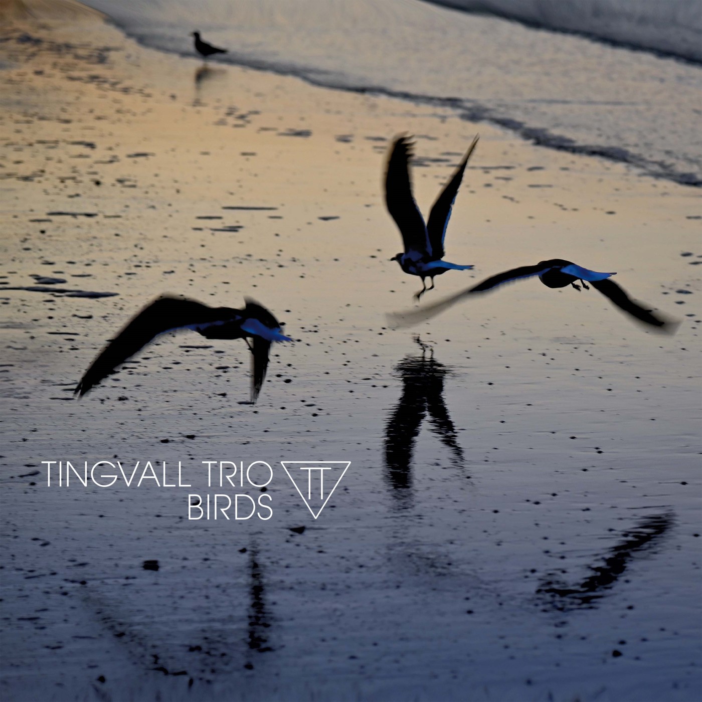 Tingvall Trio  – Birds  (Skip Records, 2023)