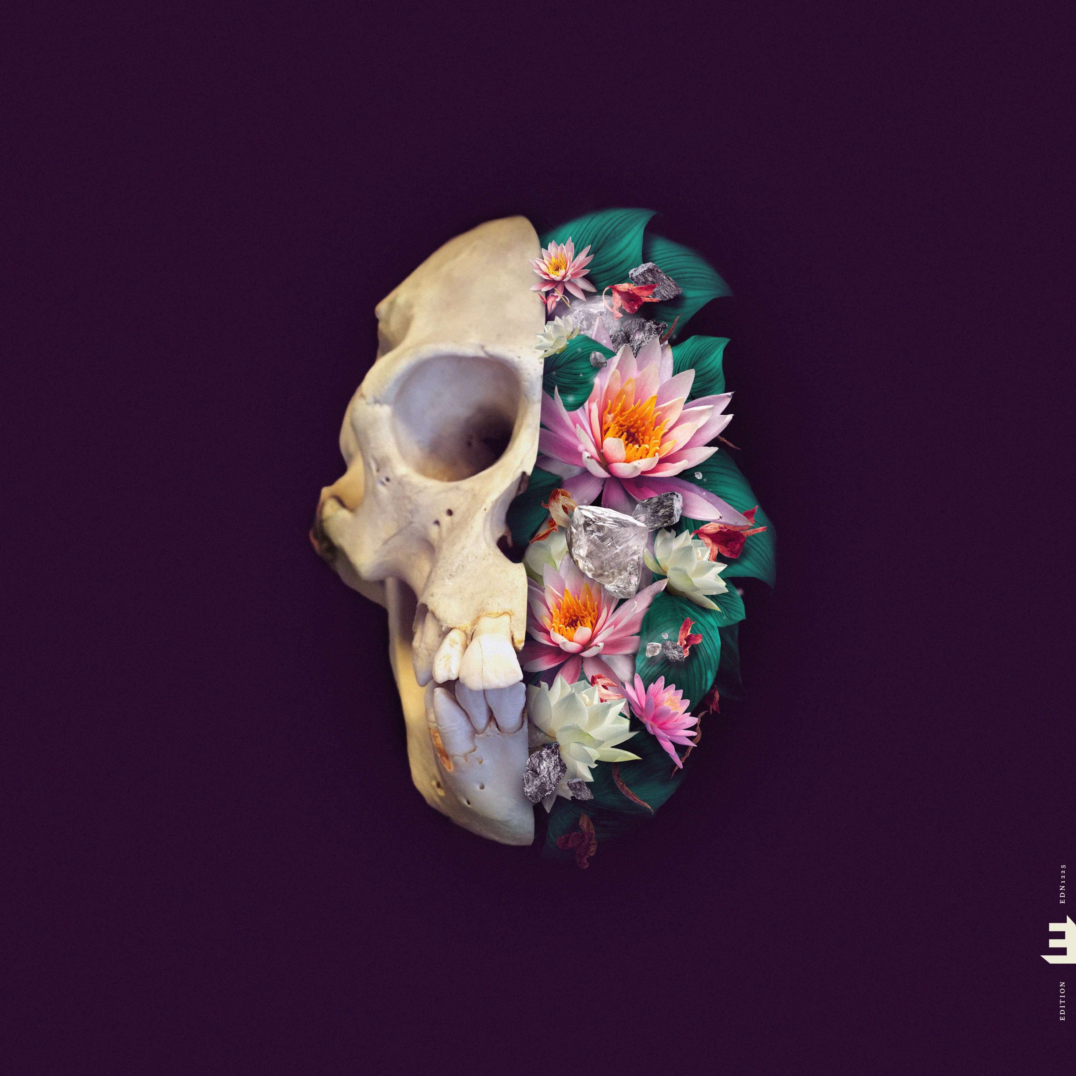 Verneri Pohjola – Monkey Mind (Edition Records, 2023)