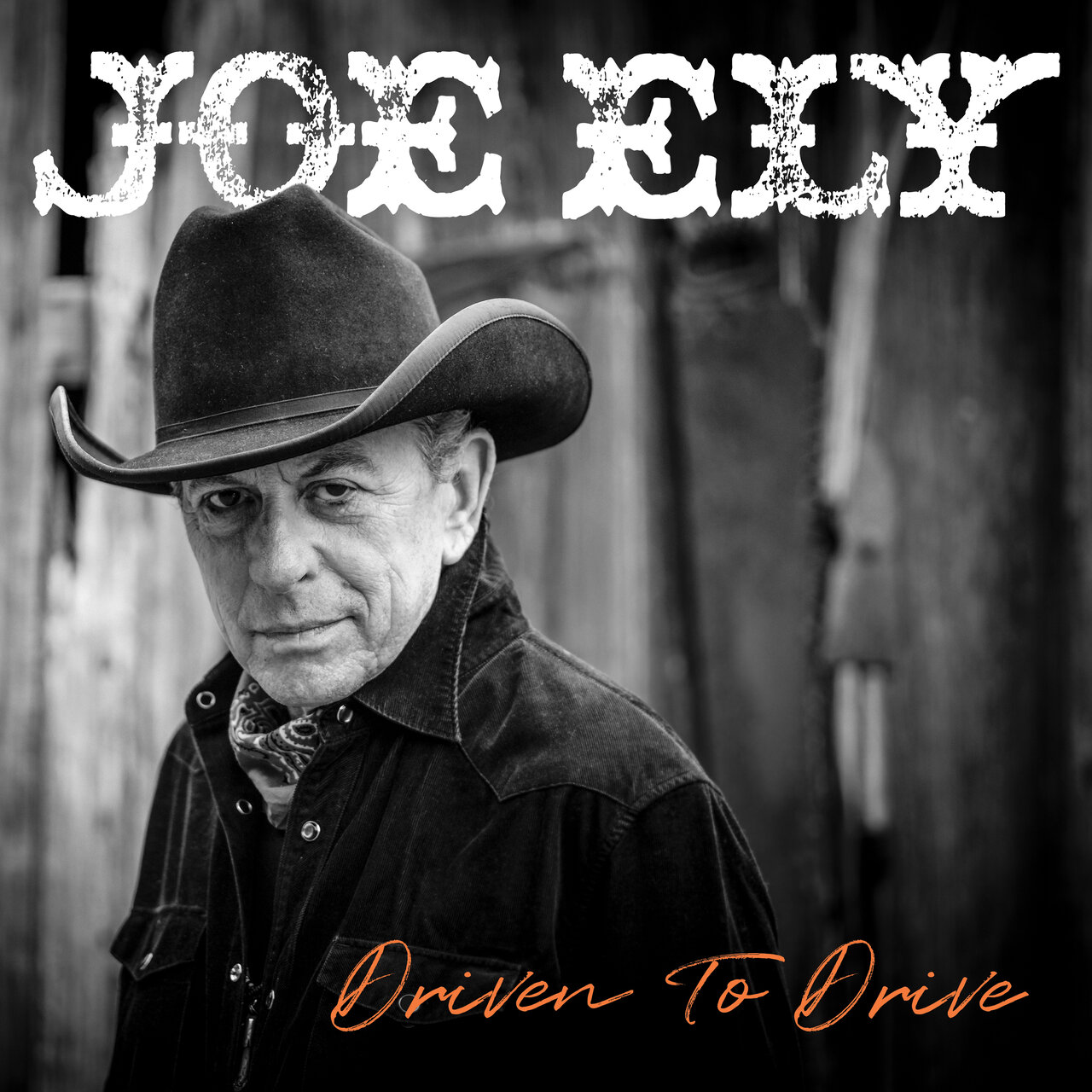 Joe Ely – Driven to Drive (Rack’em Records / Thirty Tigers, 2024)