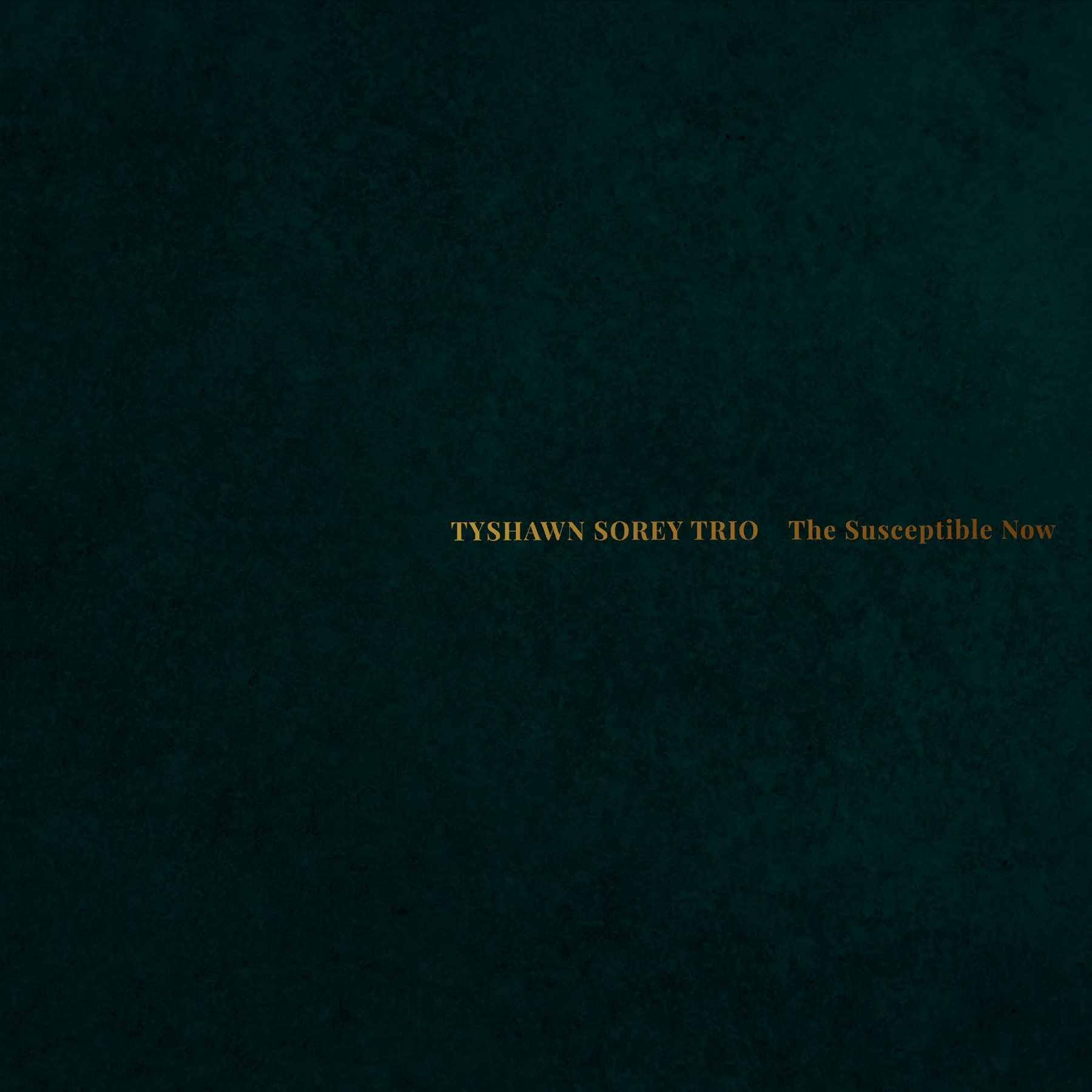 Tyshawn Sorey – The Susceptible Now (Pi Recordings, 2024)