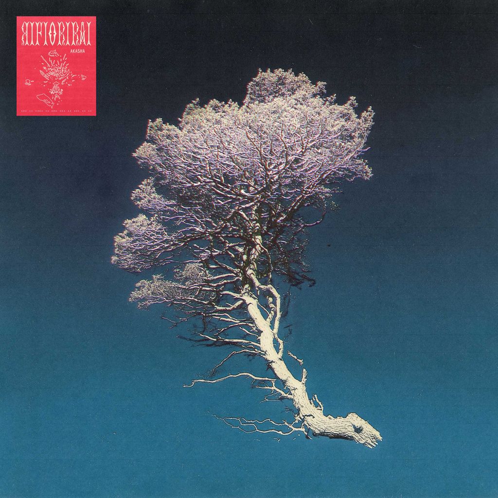 AKA5HA– Rifiorirai (Tanca/ Trovarobato, 2025)