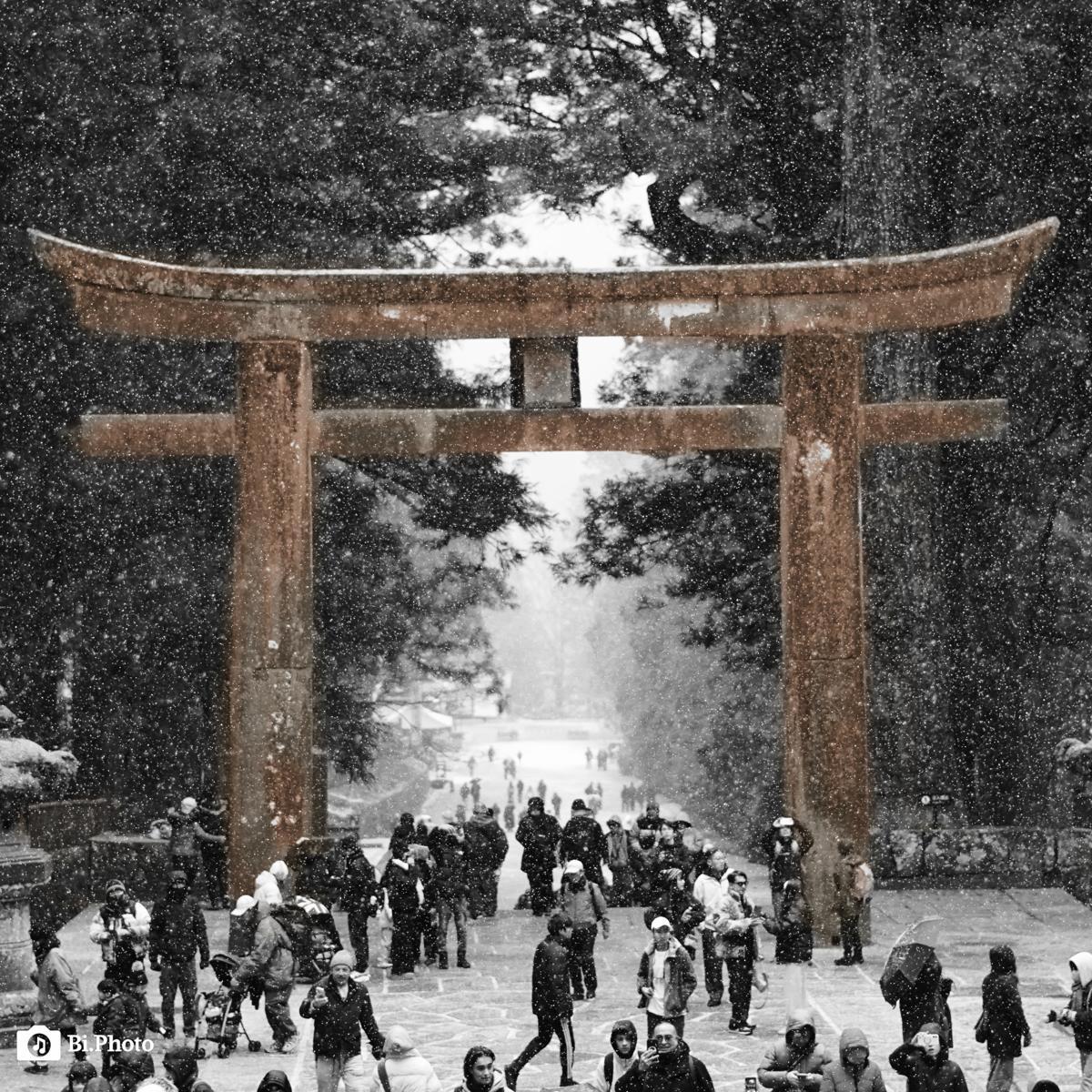 Bi Photo – Frammenti di Giappone a Milano